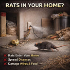 Rat Repellent Spray - Buy 1 Get 1 Free